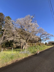 朝のサイクリン...