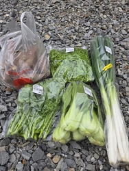 感謝祭に行って...