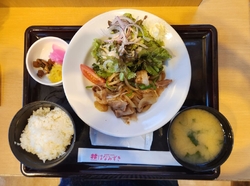 今日は雨が降っ...