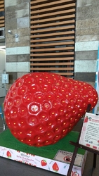 すっかり定着し...