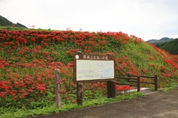 数年ぶりに訪問...