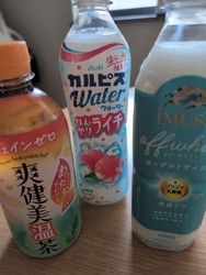 ペットボトル飲...