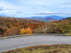 紅葉ドライブし...