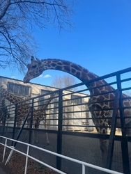 好きな人との初...