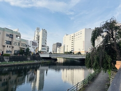 宮まつりへ行く...