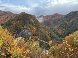 久しぶりに訪問...