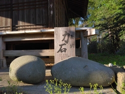 久し振りに伺い...