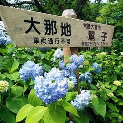小さい頃からお...