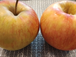 今日は半田りん...