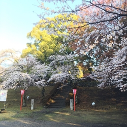 城山公園（大田...