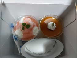 見た目が可愛い...