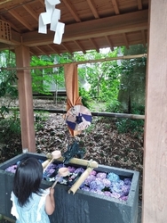 人気の神社です...