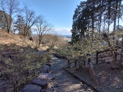 今シーズン３回...