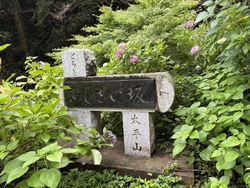 あじさい坂のあ...