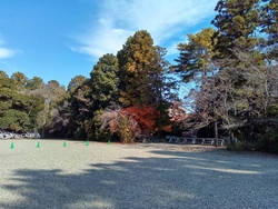 久しぶりにお邪...