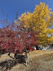 みなさんの口コ...