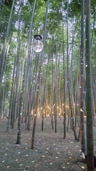 初めて行ってみ...