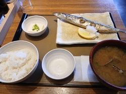 近くの公園を散...