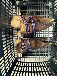 筍を買いに伺い...