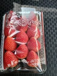 今日は、月曜日...