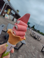 前にSNSで見...