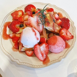 観光で日光へ向...