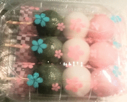 アピタに行った...