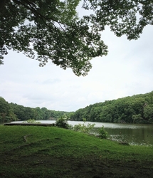 井頭公園を散策...