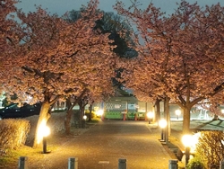 たまたま城址公...