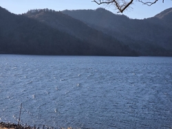 この日の中禅寺...