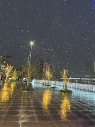 イルミネーショ...