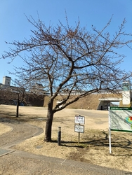 市役所に行った...