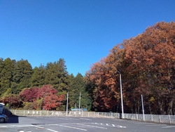 絵の返却でちょ...