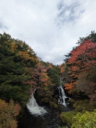 竜頭ノ滝は紅葉...