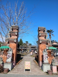 久しぶりにアジ...