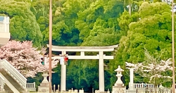 数年前からこち...