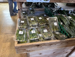 ランチの後に立...