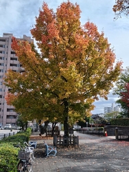 市役所に行った...