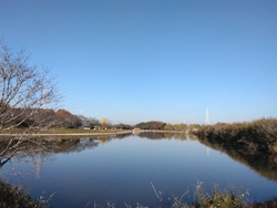 予定があったた...