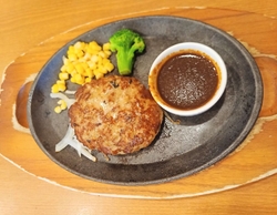 ハンバーグと石...