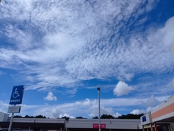DAISO...