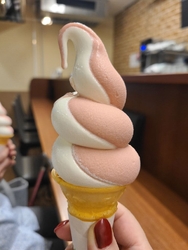 久しぶりに母と...