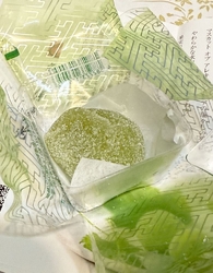 宗家源吉兆庵さ...