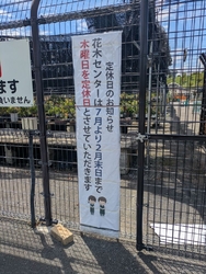 たくさんの木々...