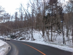 今回もいつもの...