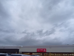 DAISO...