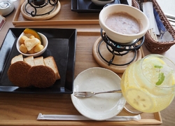 「とちぎきぶん...