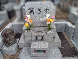 今月まだ両親の...