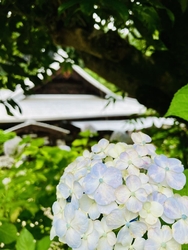 交通安全のお守...