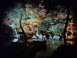 足利市で行われ...